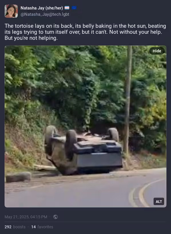 Screenshot 2025-05-21 at 14-36-18 Natasha Jay (she_her) 🏳️_⚧️ 🇪🇺 The tortoise lays on its back … - chaos